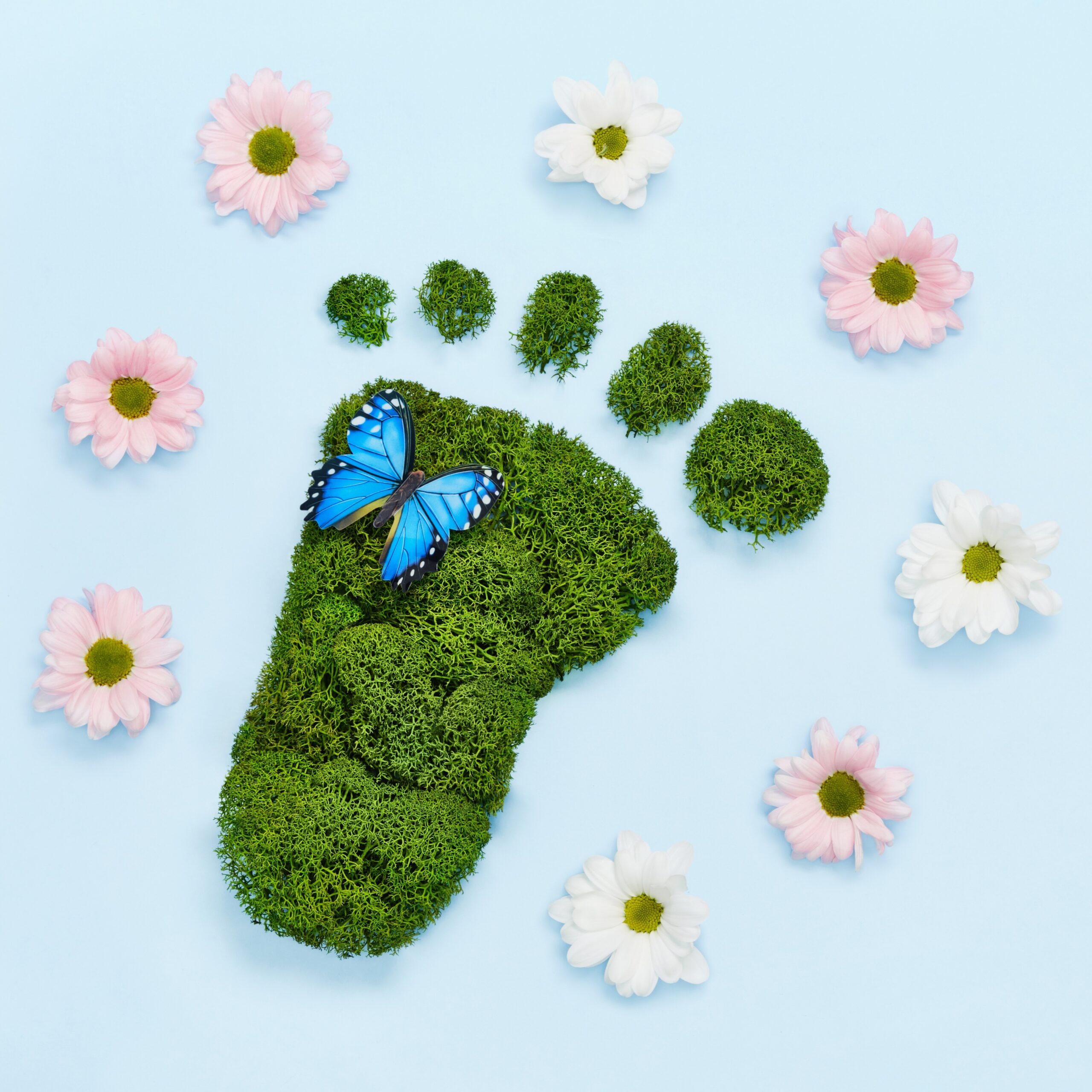 Creative eco, environmental care, earth day concept. Barefoot footprint made of natural green moss, flowers and butterfly on blue background. (Creative eco, environmental care, earth day concept. Barefoot footprint made of natural green moss, flowers